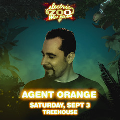 Agent Orange (DJ) @ Electric Zoo NY 2016