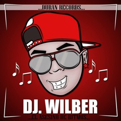 Bolitos Mix WilberDj- Evolutions Records