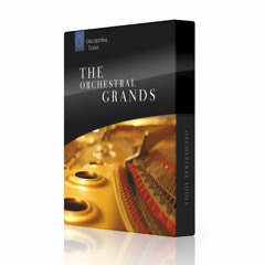 Orchestral Shades - Steinway D (Hendrik Schwarzer)
