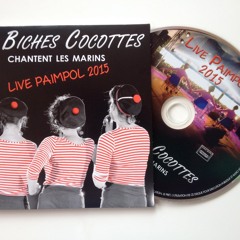 Mon P'tit Garçon - LIVE PAIMPOL 2015