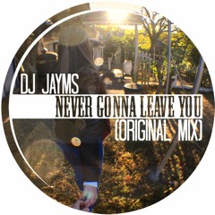Never Gonna Leave You (Original Mix)
