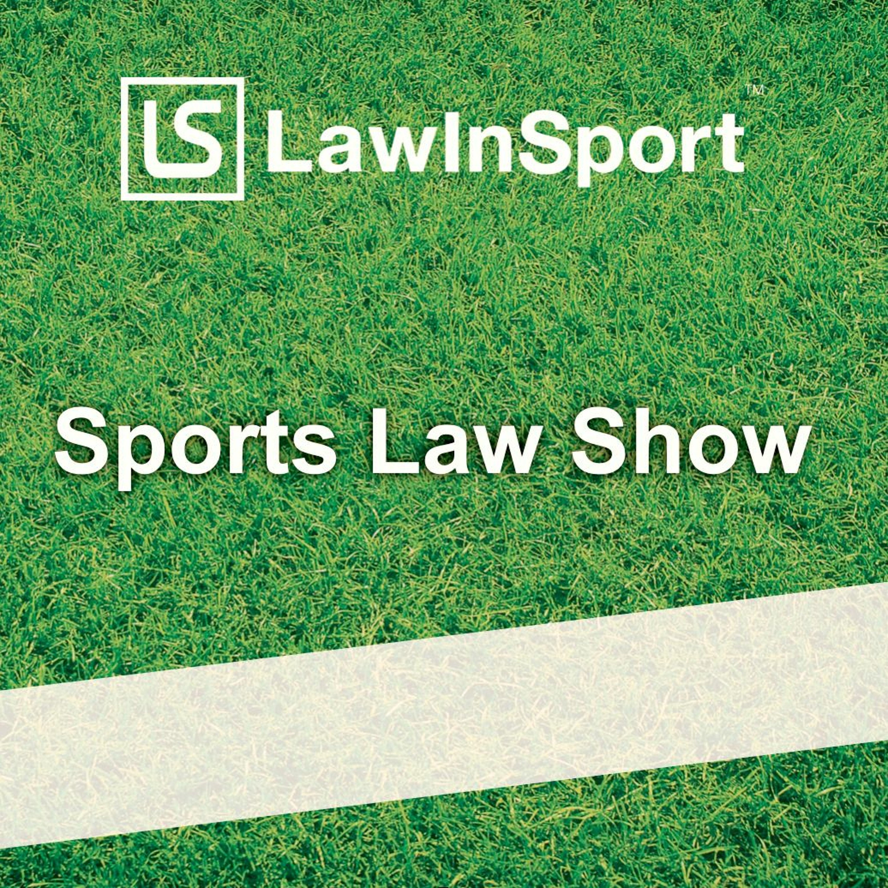 Life as an arbitrator at the Rio Olympic Games CAS Ad Hoc Division - Mark Hovell #35