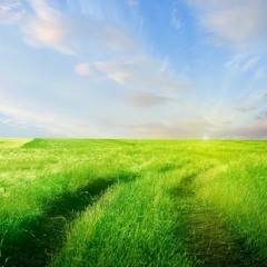 Feeling Happy (Royalty Free Music)