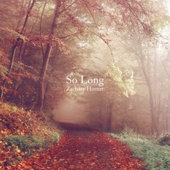 8Dio 2016 Stand Out Contest Submission- “So Long" By Zachary Horner