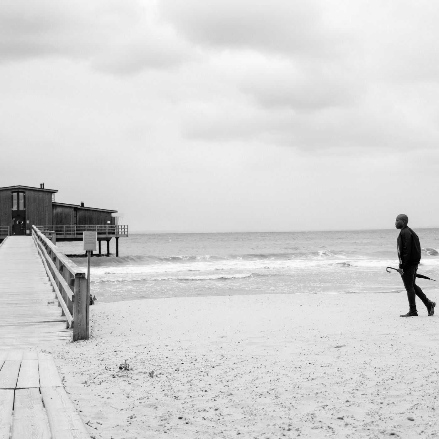 The New World by Sean Bradford