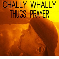 '' SING,DANCE,RAP, TURN THAT VIP SLOT INTO A PAID  ARTIST ON  THE  '' STV,TOUR''