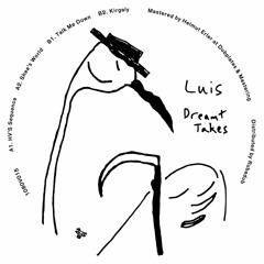 1080V015: Luis—"Dreamt Takes" (Previews)