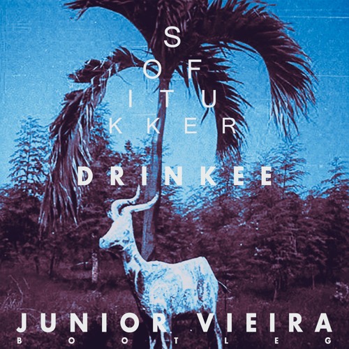 SOFI TUKKER - Drinkee (Junior Vieira Style Bootleg) FREE DOWNLOAD