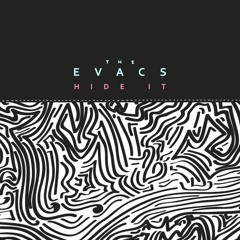 Hide It (Radio Edit)