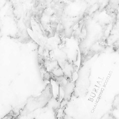 Yogi - Burial (Skrillex & Trollphace Remix) [Chang31ing Bootleg]