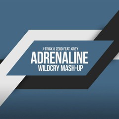 J-Trick & Zedd feat. Grey - Adrenaline (Steppa) [ WILDCRY Mash-UP ]