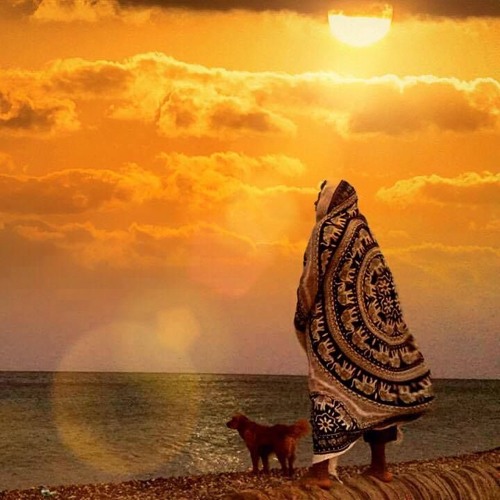 Sorry about what happens later #2