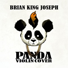 Panda (Violin Remix)