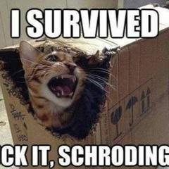 ZFNX (Jarcor Jutsu) REMIX