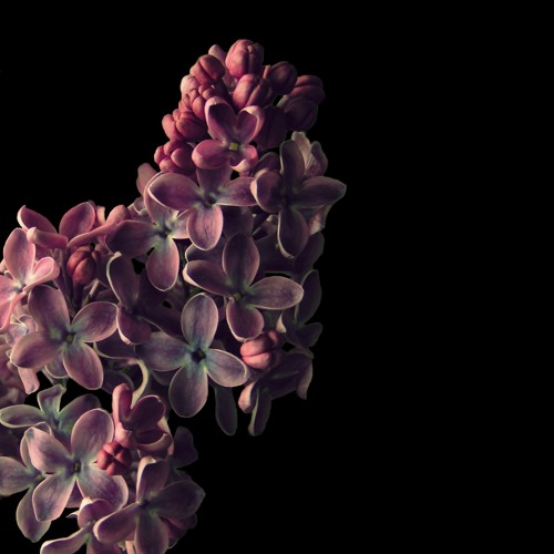 For You (Lilac Sky)