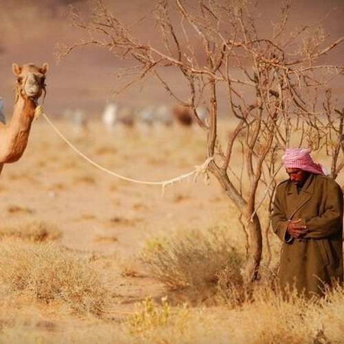ناصر الفراعنه الا رب ذي اجل قد حضر
