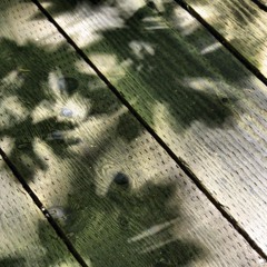 Muhammad Khalifa - Shadows
