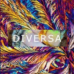 DIVERSA | Envelopes
