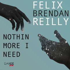 Felix - Nothin More I Need Feat Brendan Reilly (Felix After Party Remix PREVIEW)