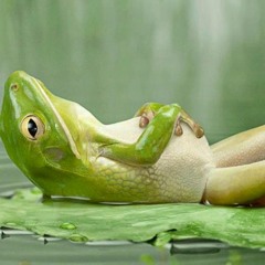 Tranquility