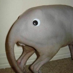 F - Zero Falcon Densetsu- Falcon Punch!