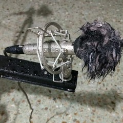 Tormenta eléctrica (Lluvia y truenos)