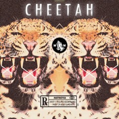 OgX - Cheetah (feat. Tree Eye, Muice)