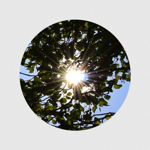 k004_01