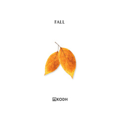FALL - AN EMOTIONAL MIX
