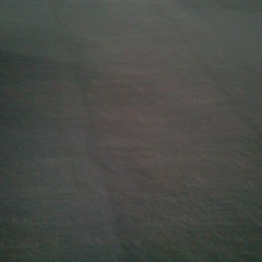 Mt. Marcy - Penny Thought