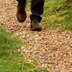 🔊Footsteps On A Shell Path Sound Effect Free To Use