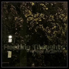 Preview! Various Artists : Fleeting Thoughts (ODrex Trip 008)