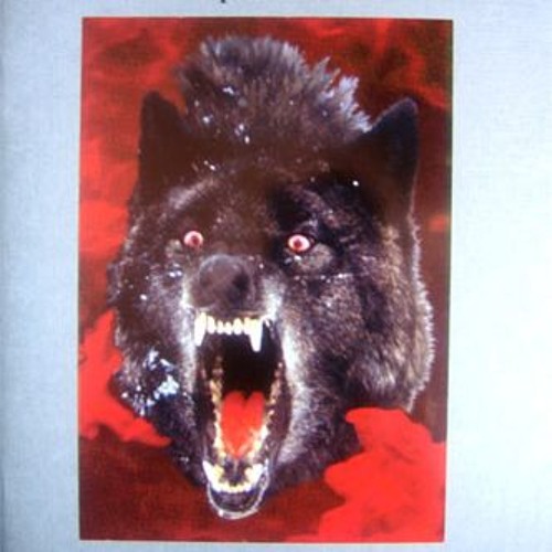 Sueño Latino Paradise Mix