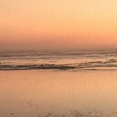 Ocean Noises
