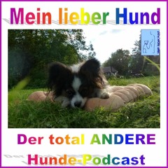 Mein lieber Hund Podcast - Epi 34 - Was tun bei unerwünschtem Verhalten