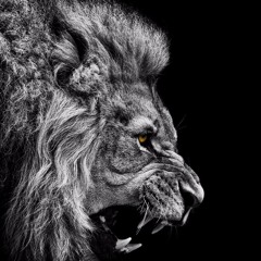 FORMULA FOR SUCCESS - Motivational Video