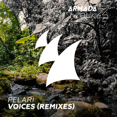 Pelari - Voices (Cuebrick Remix) [OUT NOW]
