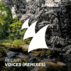 Pelari - Voices (Cuebrick Remix)
