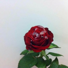 hella_stellar </3 KMS (prod. by SNARF)