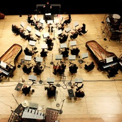 Frank Zappa, The Perfect Stranger (extrait)