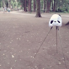 シークレット少女ガール