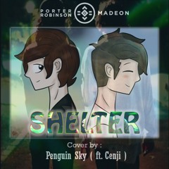 Porter Robinson & Madeon - Shelter ( Cover by Penguin Sky ft. Cenji )