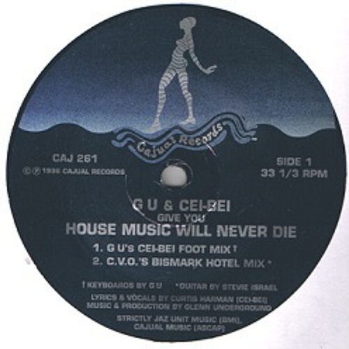 Glenn Underground / House Music Will Never Die Glenn Underground / House Music Will Never Die