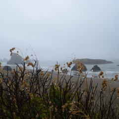 raised by swans - there's hope yet(re: ritmo)