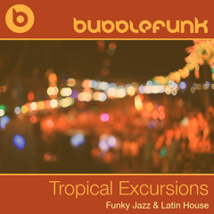 Funky Latin Jazz House DJ Mix | Tropical Excursions | DJ Bubblefunk