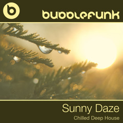 Chill Out Lounge Deep House DJ Mix | Sunny Daze | DJ Bubblefunk