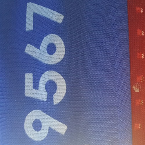 John vs Go Bus servise 2