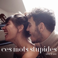Ces Mots Stupides