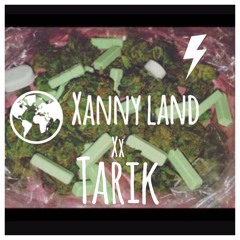 Tarik - XannyLand(RDMix1)