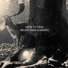 Moxie Raia - How To Feel (Remix)